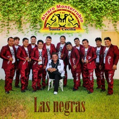 Alvaro Monterrubio Y Su Santa Cecilia -  El Bigote