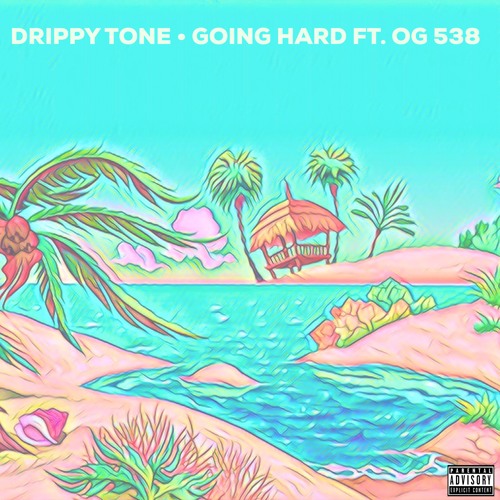 GOING HARD FT. OG 538