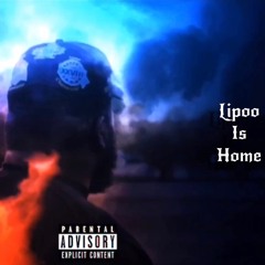 Lipoo Is Home