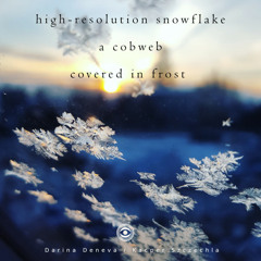 high-resolution snowflake a cobweb covered in frost (Naviarhaiku 258)
