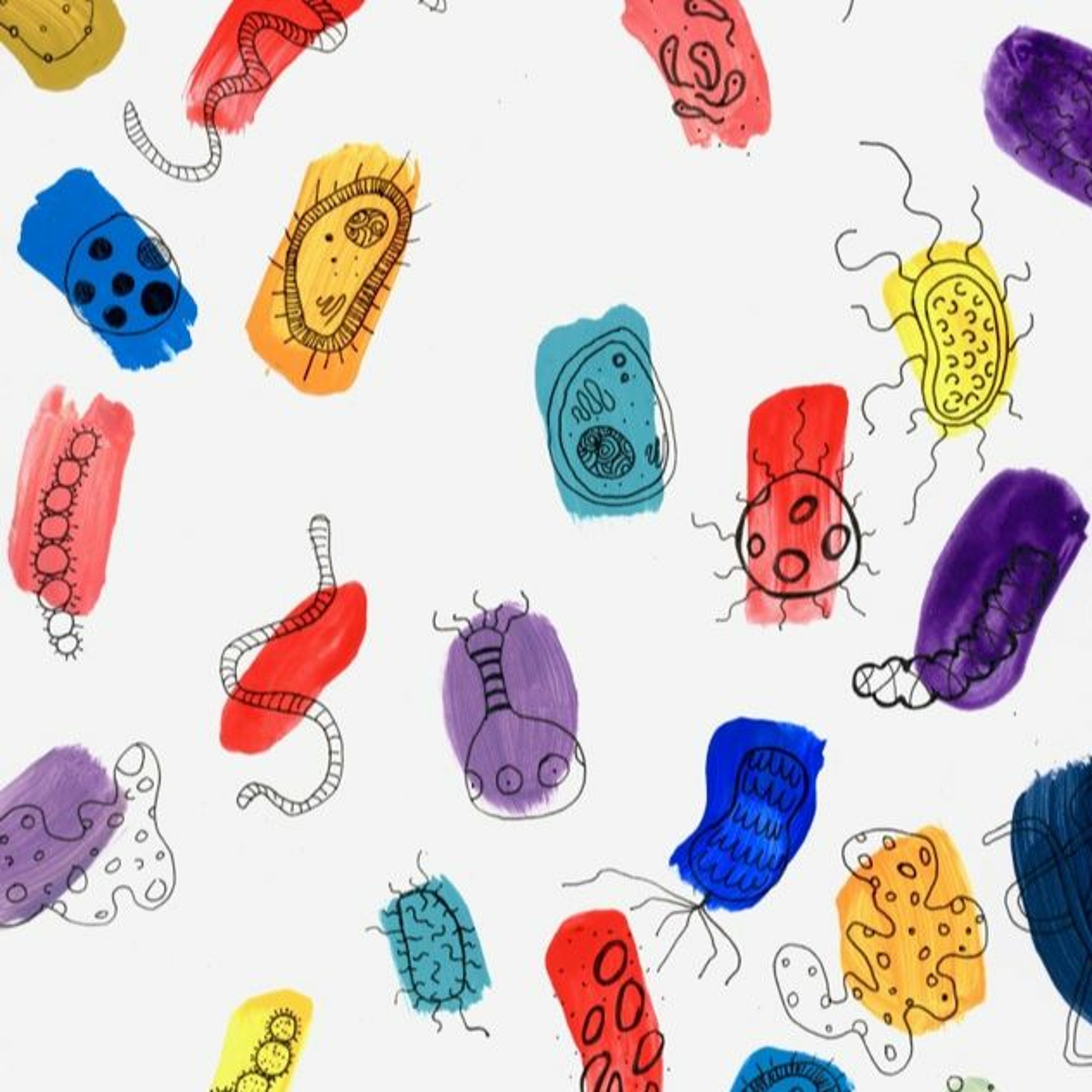 RadioBio