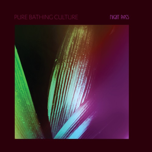 Pure Bathing Culture  "Devotion"