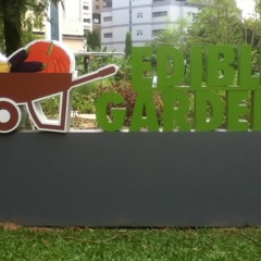 SAKGF EYP Interview 13.12.2018