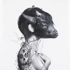Black Sheep · Moldetek