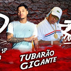 DJ RB Feat. MC Ryan SP - Tubarão Gigante