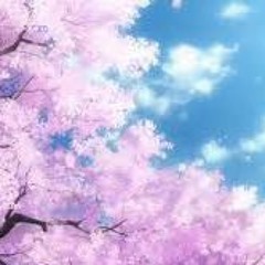 (๑･̑◡･̑๑)