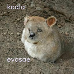 Koala (album out!) [instrumental]