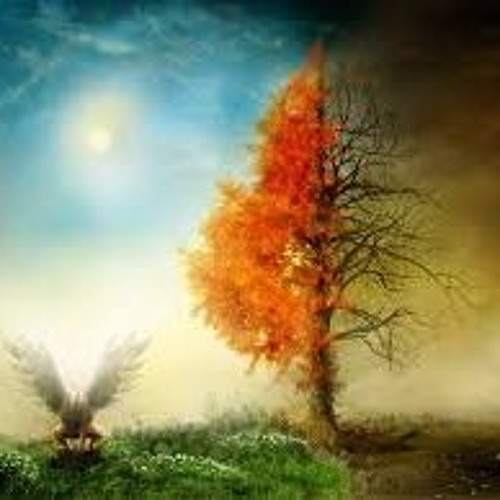 Leka Tuiaki - Heaven And Hell