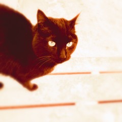 House Magic(remix)B(160kbps)