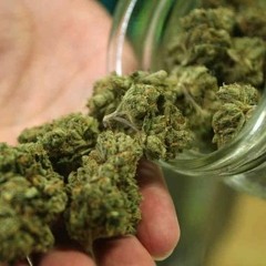 Mary Jane (Anti weed song)