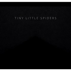 Tiny Little Spiders (Original)