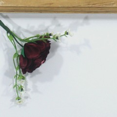 S.A.R - Ku Kira Kau Rumah (Cover) - Amigdala