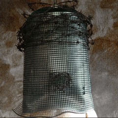 John Duncan & Joachim Nordwall - SOFT EYES (from the "CONVENTIONAL WISDOM" iDEAL182 LP)