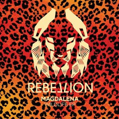 PREMIERE : Magdalena - Elephantz (Original Mix) [Rebellion]