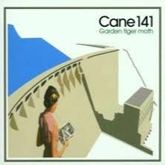 New Day Parade by Cane 141