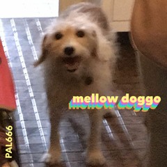 mellow doggo