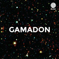 RLSD PODCAST // 014 Gamadon - Bleep Theory