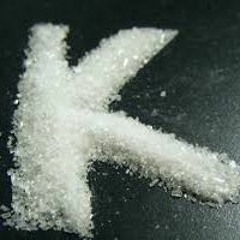 Le Cri Des Ketosaures Perdu