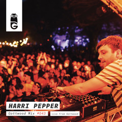 Gottwood Mix #043 - Harri Pepper (Live From Gottwood)