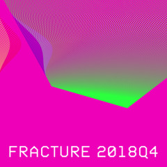 Fracture 2018Q4