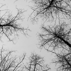 Migo - Promo Set 2018