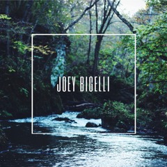 DHT Podcast 64 - Joey Bigelli