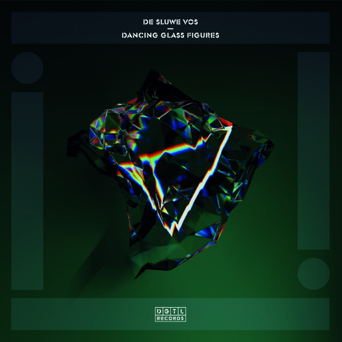 DGTL007: De Sluwe Vos & Sjamsoedin - Never Know