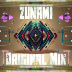 TKDF - Zunami