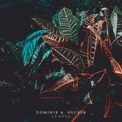 Dominik A. Hecker - Leaves