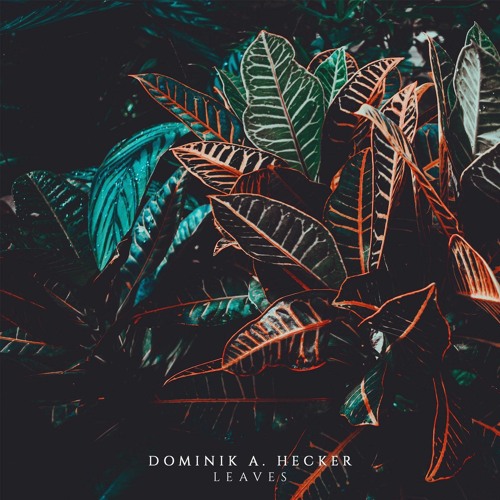 Dominik A. Hecker - Leaves