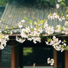 Vô Vấn - Mao Bất Dịch  无问 - 毛不易