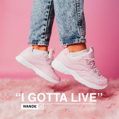 Wande - I Gotta Live