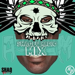Akronym - Shaq Fu Radio Mix