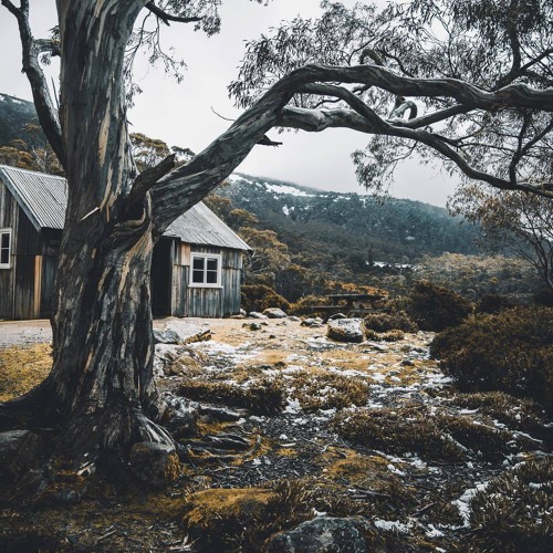 Beyond the Winter lake // Podcast by Mike Tohr