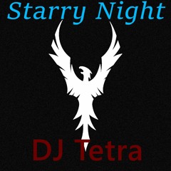 Starry Night (Original Remix)