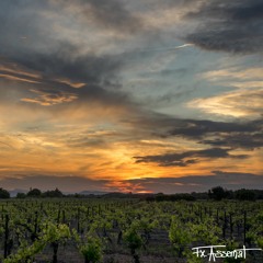 Everybody love the sunshine