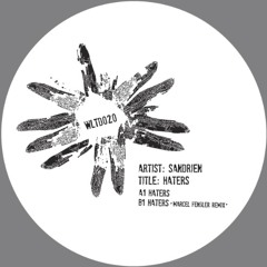 Sandrien - Haters (Marcel Fengler Remix)- Wolfskuil