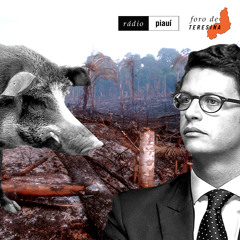 #31: O escândalo do motorista, o antiministro do Meio Ambiente e o barraco do PSL