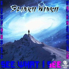 Slinkii Winkii - See What I See (FreakingBeats Rec)