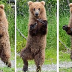 DJ DLT - Funk That Disco Boogie!