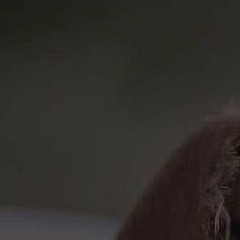 Deeply disturb progressive techno .mp3