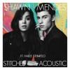 Stitches(Acoustic Cover) - Shawn Mendes ft. Hailee Steinfeld