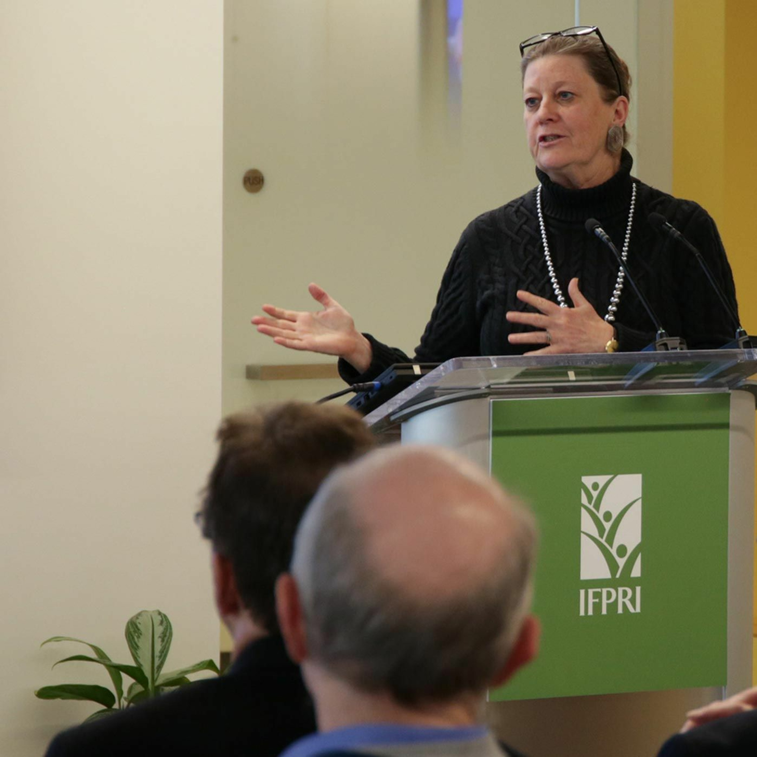 IFPRI Book Launch: Agricultural Policy in Disarray 12/12/2018 KAElliott episode artwork