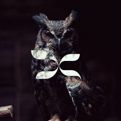 Dappled Light Mix  - Live at Haven Oct 2017