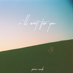 i'll wait for you