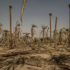غم عالم به جانم جا گرفته،  چو سیلابی که بر دریا گرفته