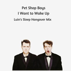 Pet Shop Boys - I Want To Wake Up (Luin's Sleep Hangover Mix)