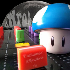 Enchanted Vibrations