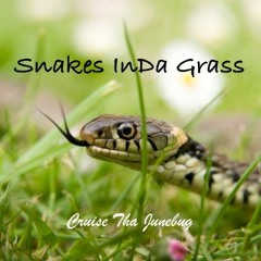 Snakes Inda Grass (Daartofstorytellin')