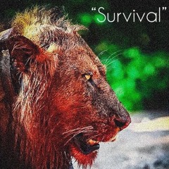 Survival Freestyle